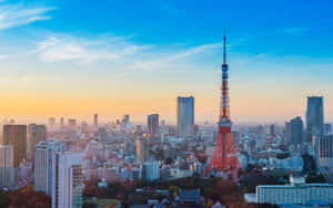 日落時分的東京鐵塔與城市天際線和秋樹 — 東京 壁紙