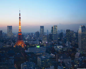 黃昏時分點亮的東京鐵塔，背景中城市燈光閃爍。 — 東京 壁紙