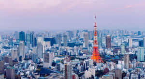 夕陽下東京鐵塔照亮廣闊的城市景觀。 — 日本 壁紙