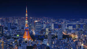夜晚的東京鐵塔亮起燈光，下方城市燈火閃爍。 — 日本 壁紙