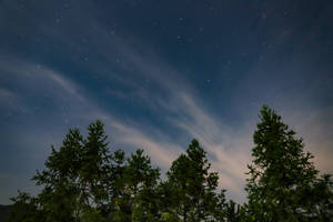 松樹剪影映襯著繁星點點的夜空和縷縷雲彩。 — 美學天空 壁紙