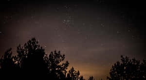深色松樹剪影，背景是星空夜空和微弱的橙色光芒。 — 星星 壁紙