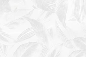 柔和灰色調和微妙紋理的單色葉子圖案壁紙。 — 白色百合花 壁紙