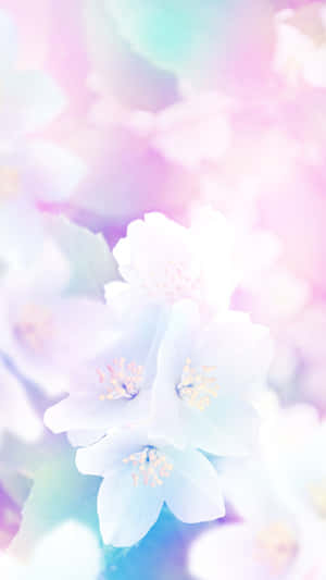 精緻的粉彩花朵在柔和夢幻的光線中閃耀。 — 春天花朵 壁紙