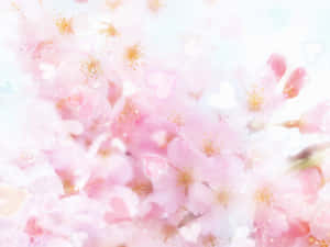 在柔和夢幻光線中帶有心形散景的粉紅櫻花。 — 粉色花朵 壁紙