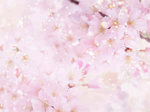 粉紅櫻花在柔和發光的氛圍中漂浮，伴隨著閃爍的粒子。 — 春天花朵 壁紙