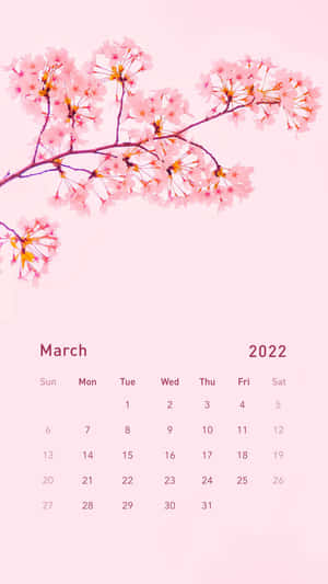 2022年3月日曆，帶有櫻花枝條，粉紅背景 — 春天花朵 壁紙