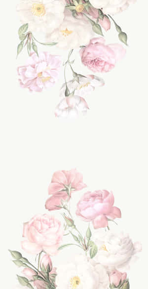 淡奶油色背景上，粉紅與白色玫瑰搭配綠色莖幹的精緻水彩畫。 — 花朵 壁紙