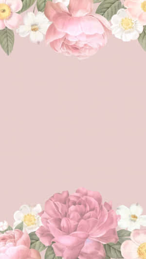 柔和的粉紅色背景上的粉紅色和白色花卉邊框。 — 花朵 壁紙