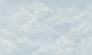 金色的鳥兒在寧靜的天空中穿過柔軟的白雲翱翔。 — 柳橙 壁紙