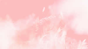 精緻的粉紅色羽毛在柔和的模糊背景中飄浮。 — 粉紅色美學桌面 壁紙