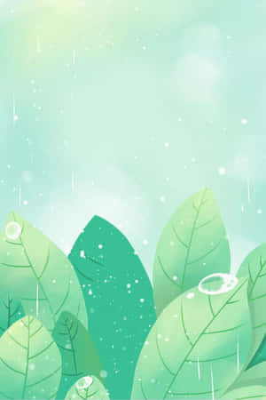 綠色葉片在柔和模糊的背景中落下雨滴。 — 美學 壁紙