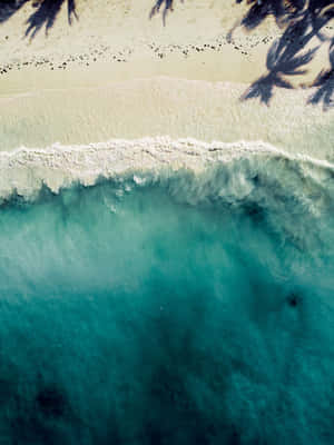 棕櫚樹蔭下，碧綠海浪與白色沙灘交匯的航拍鏡頭。 — 海景 壁紙