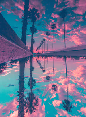 棕櫚樹在粉紅色和藍綠色天空下倒映在水中。 — 美學雲朵 壁紙