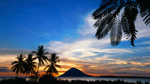 棕櫚樹和火山在海洋上色彩繽紛的日落背景下形成剪影。 — 夕陽天空 壁紙