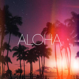 棕櫚樹剪影映襯色彩繽紛的日落，帶有 aloha 文字。 — Tumblr 壁紙