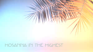 棕櫚葉框住一片粉彩天空，上面寫著 Hosanna in the Highest。 — 棕櫚樹 壁紙