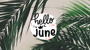 棕櫚葉圍繞一個帶有 hello june 文字的白色圓圈。 — 棕櫚樹 壁紙