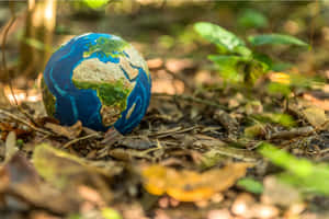 地球日圖片 — 世界地球日 壁紙