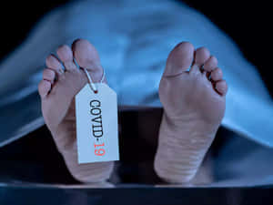 棺材內死者的腳，帶有COVID-19標籤。 — 死亡 壁紙