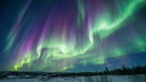綠色與紫色的北極光映照在雪白的大地上。 — 天空 壁紙