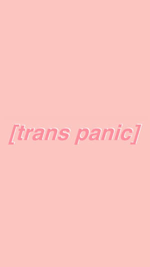 粉紅色背景，中央有文字 trans panic — 粉紅色美學桌面 壁紙