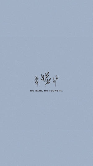 三棵線條畫植物，帶有文字 no rain no flowers，背景為藍色。 — 可愛風格 壁紙