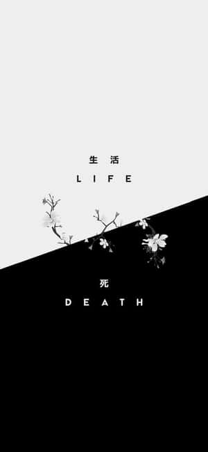 以櫻花象徵生與死的黑白分割畫面。 — 簡約暗黑美學 壁紙