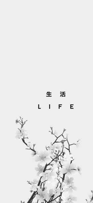 櫻花枝，帶有中文字元和英文單詞 life，灰色背景。 — Pixel 11 Pro 壁紙