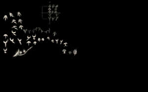 黑色背景上的抽象發光白色形狀和符號。 — 日式 壁紙