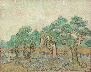 文森·梵谷於1889年創作的《橄欖果園》，油畫作品。下載這幅藝術作品作為桌機、平板或手機的高解析度桌布。
