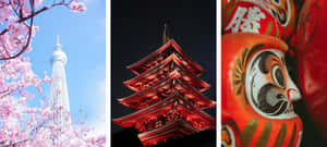 東京鐵塔與櫻花、夜晚的紅色寶塔和紅色達摩娃娃。 — 日式海浪 壁紙