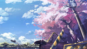 櫻花背景 — 櫻花 壁紙