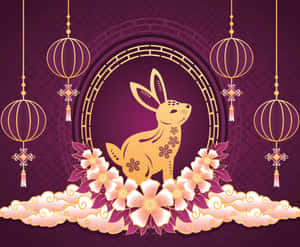 兔子背景 — 白兔 壁紙