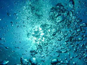 氣泡在清澈的藍色海水中向陽光上升。 — 4:3 壁紙