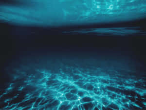 綠松石色的光波在黑暗的水下泳池地板上舞動。 — 卡洛琳 壁紙