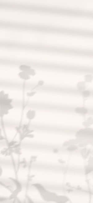 百葉窗在白色牆上投射出柔和的花朵和葉子陰影。 — 簡約 壁紙