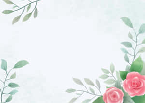 水彩花卉 — 水彩花卉 壁紙