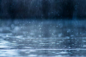 雨滴落在潮濕的表面，形成漣漪和閃光。 — 凋零風暴 壁紙