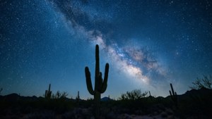 薩瓜羅仙人掌剪影，星空夜空，銀河 — 藍色 壁紙