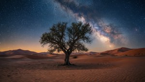 沙漠中的一棵孤樹，在可見銀河的星空夜空下。 — 夢幻 GIF 壁紙