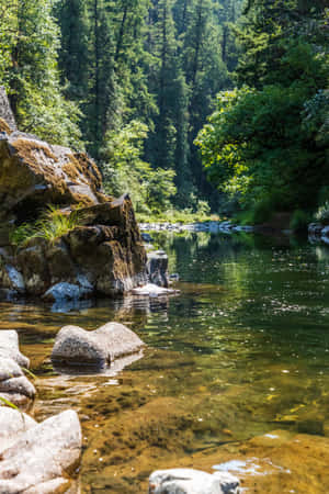 河流背景 — 小米平板 9 Pro 壁紙