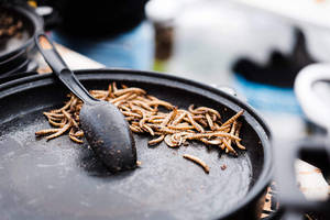 黑色煎鍋和黑色湯匙中的油炸昆蟲幼體。