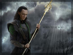 洛基背景 — 洛基 壁紙