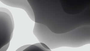 帶有流暢平滑形狀和漸變色調的抽象單色數位藝術。 — 灰色美學動圖 壁紙
