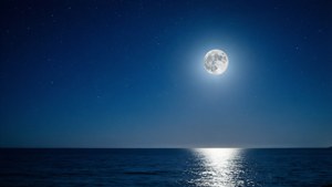 深藍色夜空下，一輪滿月高懸於平靜海面之上。 — 天空 壁紙