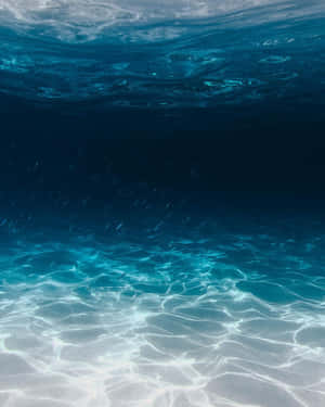 海底海洋背景，魚群與海草 — 美麗的藍色 壁紙
