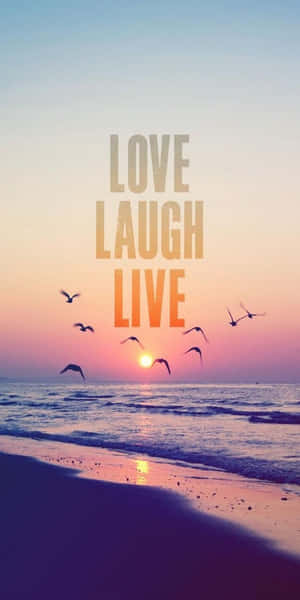 日落海灘，鳥兒飛翔，文字love laugh live在溫暖色調中發光。 — Pixel 3 壁紙