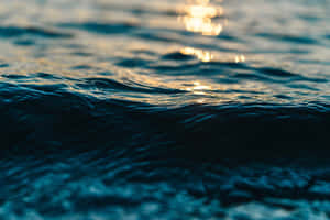 海洋波浪反射金色陽光，帶有深藍色調 — 水 壁紙