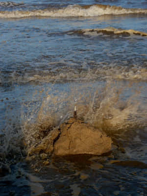 海浪拍打岩石，在海中激起水花。 — 3:4 壁紙